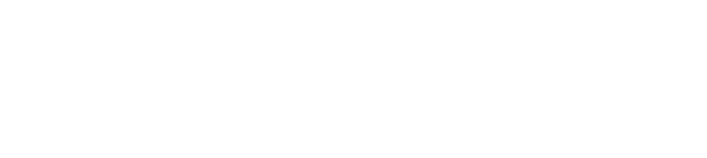 নিউজ পোর্টাল